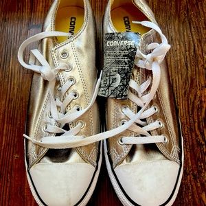 Converse Unisex Chuck Taylor All Star Ox Low Top Classic Silver Sneaker